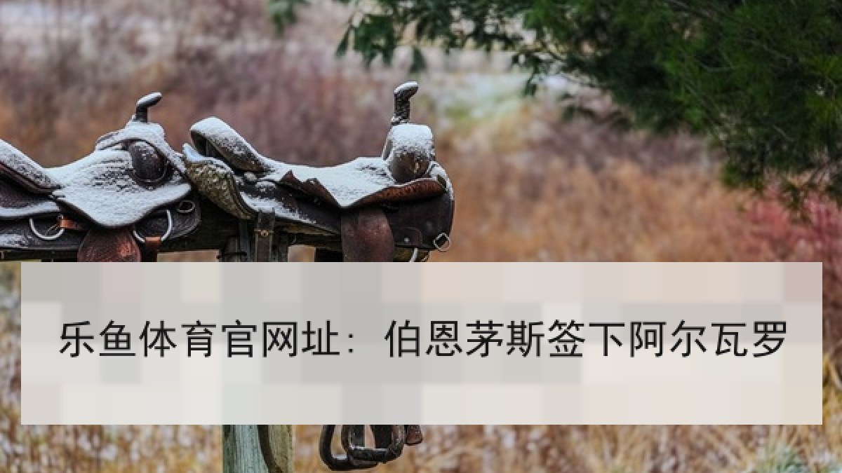 乐鱼体育官网址: 伯恩茅斯签下阿尔瓦罗 乐鱼体育官网址: 伯恩茅斯签下阿尔瓦罗